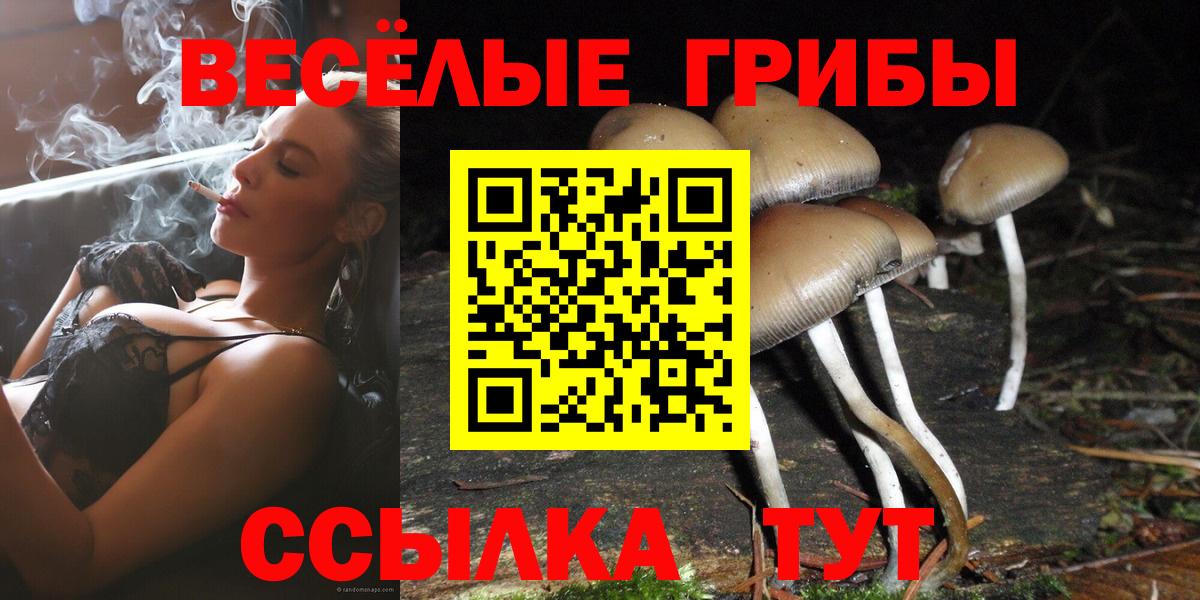 Псилоцибиновые грибы мицелий Иваново