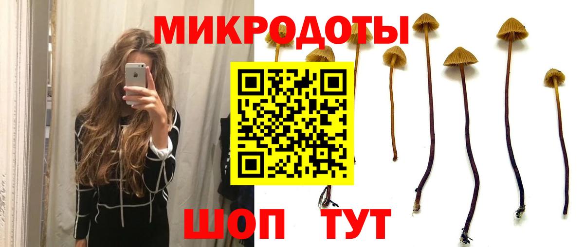 Иваново  где купить наркоту  Вход с VPN  Галлюциногенные грибы Psilocybine cubensis  Галлюциногенные грибы GOLDEN TEACHER 